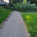 Shared Use Path at 6054 37 A Avenue NW