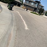 Street Sweeping at 4008 Westcliff Place SW