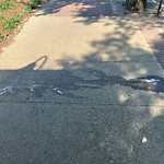 Street Sweeping at 9927 82 Avenue NW