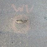Potholes at N53.48 E113.65