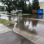Pooling water due to Depression on Road at 9318 81 Avenue NW