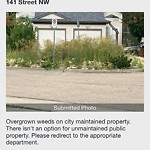 Noxious Weeds - Public Property at 14021 156 Avenue NW