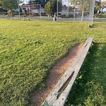Sports Field Maintenance at 11011 110 Avenue NW