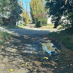 Pooling water due to Depression on Road at 14811 108 Avenue NW