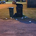 Overflowing Garbage Cans at 1732 61 Street NW