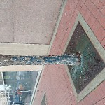 Tree/Branch Damage - Public Property at 10060 Jasper Ave NW
