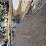 Pooling water due to Depression on Road at 4003 86 St NW