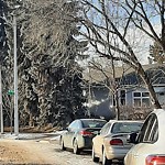 Tree/Branch Damage - Public Property at 10948 60 Avenue NW