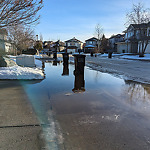 Pooling water due to Depression on Road at 2510 Bell Crt SW