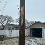 Tree/Branch Damage - Public Property at 3433 120 Avenue NW