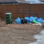 Overflowing Garbage Cans at 9607 72 Ave NW