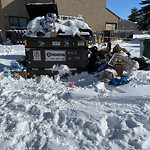 Overflowing Garbage Cans at 5603 22 Avenue NW
