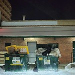Overflowing Garbage Cans at 10246 104 Street NW