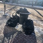 Overflowing Garbage Cans at 10422 82 Avenue NW