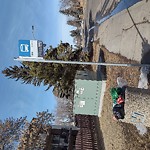Overflowing Garbage Cans at 1512 62 St Nw, Edmonton T6 L 1 S8
