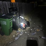 Overflowing Garbage Cans at 12445 53 Street NW