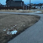 Litter Public Property at 345 Charlesworth Drive SW