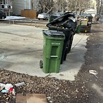Overflowing Garbage Cans at 10706 85 Avenue NW