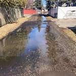 Pooling water due to Depression on Road at 3008 110 Street NW
