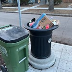 Overflowing Garbage Cans at 9703 84 Avenue NW