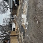 Pooling water due to Depression on Road at 9135 146 A St Nw, Edmonton T5 R 0 X3