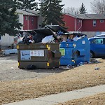 Overflowing Garbage Cans at 1 Edmonton Hillview One NW