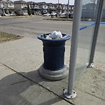 Overflowing Garbage Cans at 8716 180 Avenue NW
