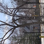 Tree/Branch Damage - Public Property at 6920 114 Ave Nw, Edmonton T5 B 0 J6