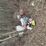 Litter Public Property at 558 Wolf Willow Rd Nw, Edmonton T5 T 1 E5