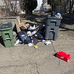 Overflowing Garbage Cans at 11255 78 Avenue NW