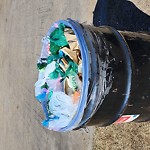 Litter Public Property at Summerside