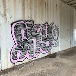 Graffiti Public Property at 13204 Fox Drive NW