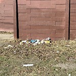 Litter Public Property at 9804 169 Street NW