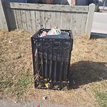 Overflowing Garbage Cans at 1308 29 Ave Nw, Edmonton, Ab T6 T 0 K8, Canada