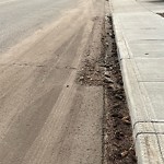 Road Maintenance at 12324 51 Avenue NW