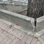 Other - Vandalism/Damage at 10031 Macdonald Drive NW