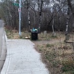 Overflowing Garbage Cans at 9621 84 Avenue NW