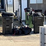 Overflowing Garbage Cans at 11204 55 Ave NW