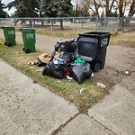 Overflowing Garbage Cans at 6004 132 Ave NW