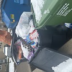 Overflowing Garbage Cans at 1765 Mill Woods Road East NW