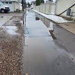 Pooling water due to Depression on Road at 7223 86 Avenue NW