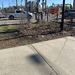 Shared Use Path at 11419 University Avenue NW
