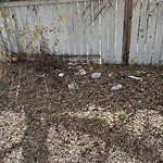 Litter Public Property at 775 Lee Ridge Road NW
