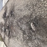 Potholes at 3612 60 St NW