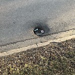 Potholes at 10160 116 Street NW