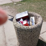 Overflowing Garbage Cans at 12996 50 St Nw, Edmonton T5 A 4 L2