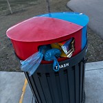 Overflowing Garbage Cans at 345 Charlesworth Drive SW