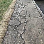 Sidewalk Concern at 11011 Saskatchewan Drive NW