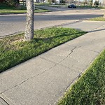 Sidewalk Concern at 5007 Mcleod Road NW