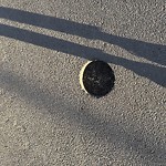 Potholes at Kitchener Park, 10238–10264 114 St Nw, Edmonton T5 K 1 S1